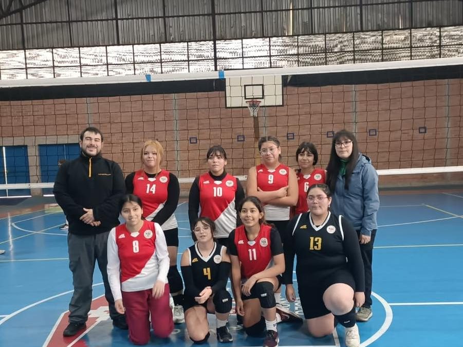 Equipo voleibol Sub 14