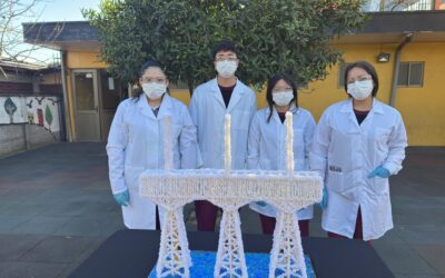 Seleccionados para participar de la Feria Científica CristalEscolar 2025